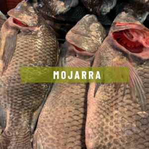 que es una mojarra